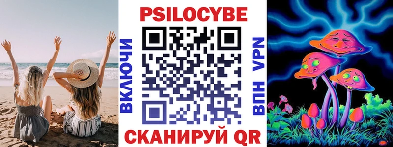 Галлюциногенные грибы Psilocybe  Купить закладки  Семикаракорск 
